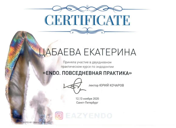 Сертификат врача стоматологии «Пьер Фошар» № 7